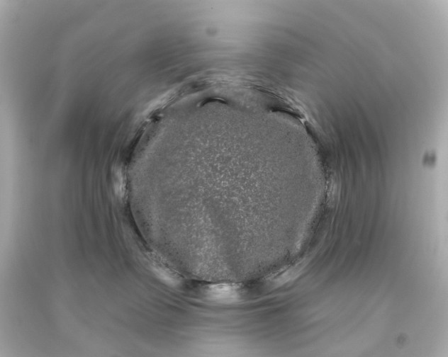 X0000093580335200710291106