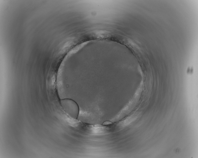 X0000093580336200710291106