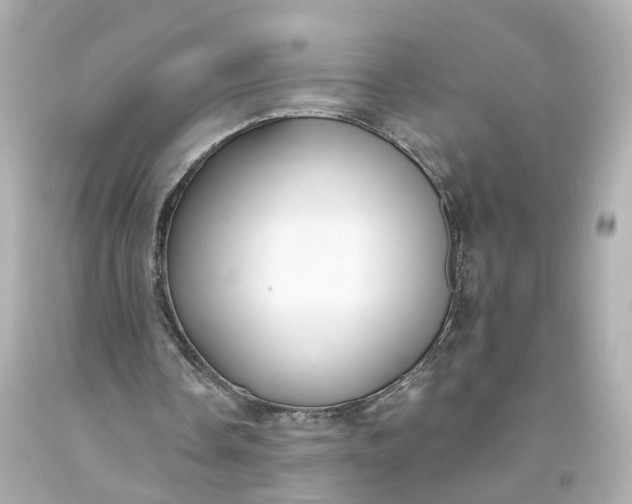 X0000093580338200710291106