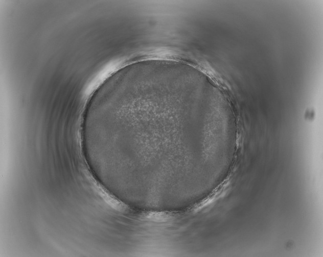 X0000093580341200710291106