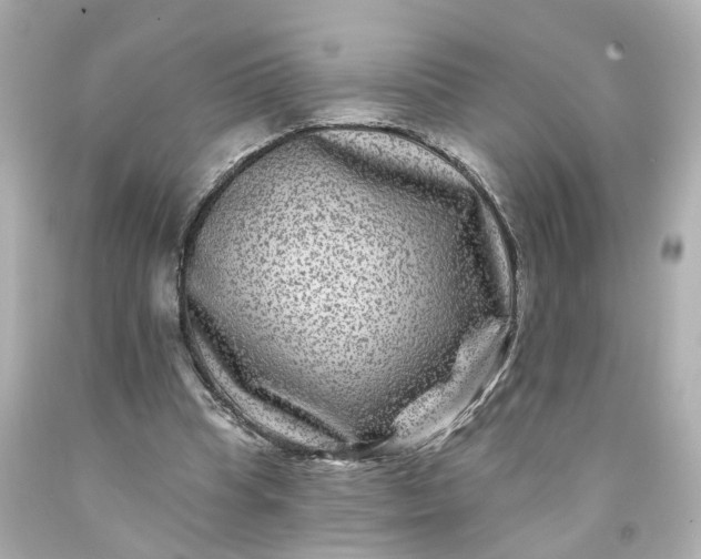 X0000093580345200710291106