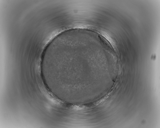 X0000093580346200710291106