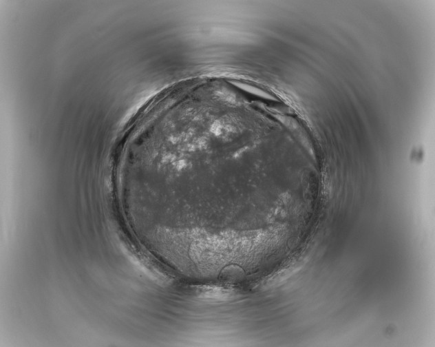 X0000093580347200710291106