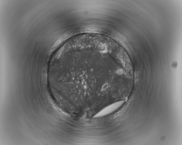 X0000093580349200710291106