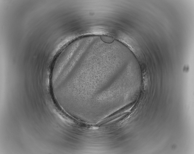 X0000093580350200710291106