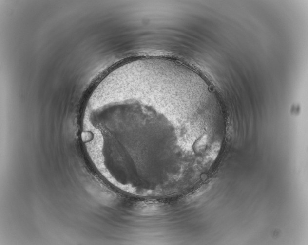 X0000093580351200710291106