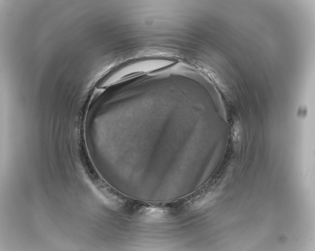 X0000093580352200710291106