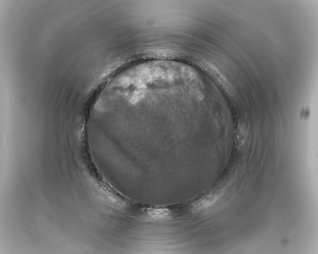 X0000093580355200710291106