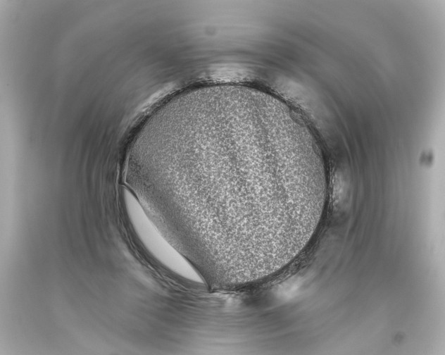 X0000093580356200710291106