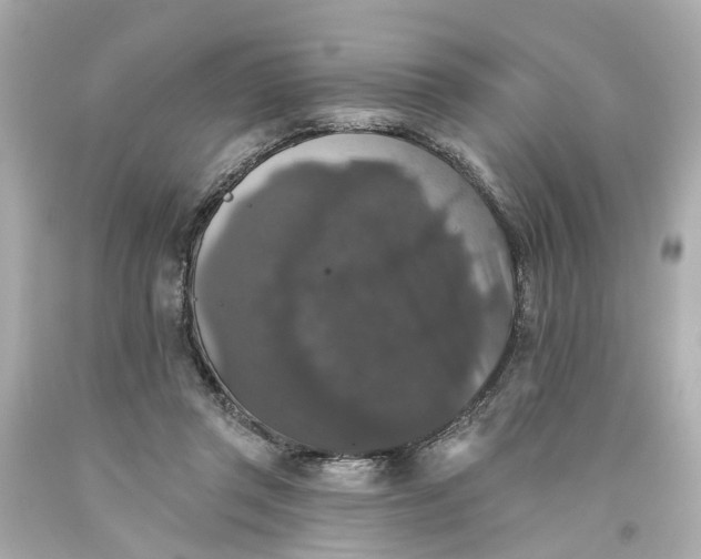 X0000093580357200710291106