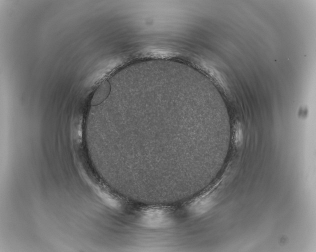 X0000093580358200710291106