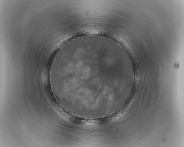 X0000093580359200710291106