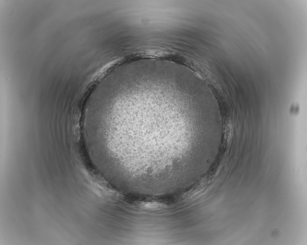 X0000093580360200710291106