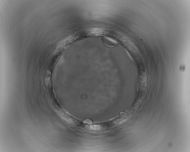 X0000093580361200710291106