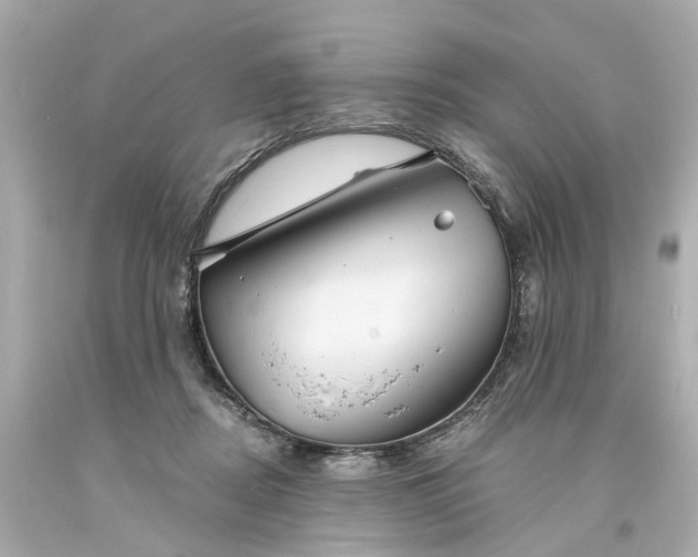 X0000093580362200710291106