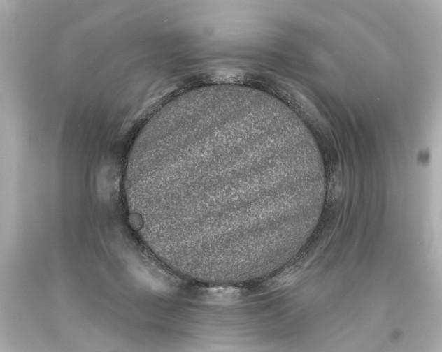 X0000093580363200710291106