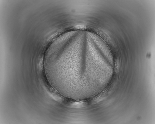 X0000093580364200710291106