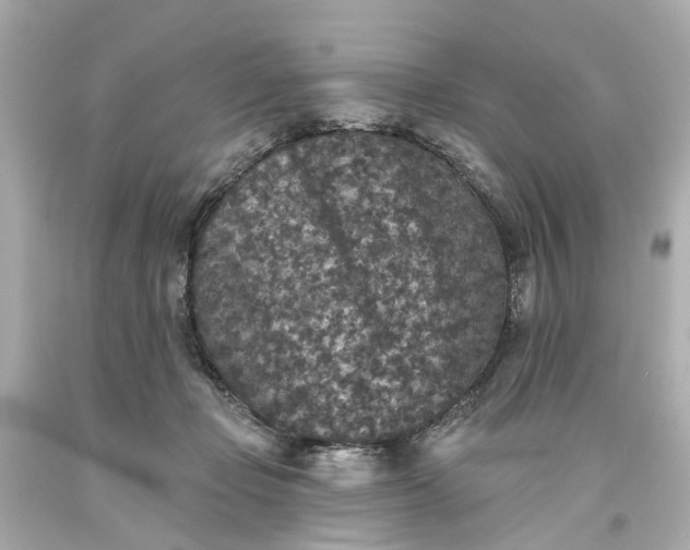 X0000093580365200710291106