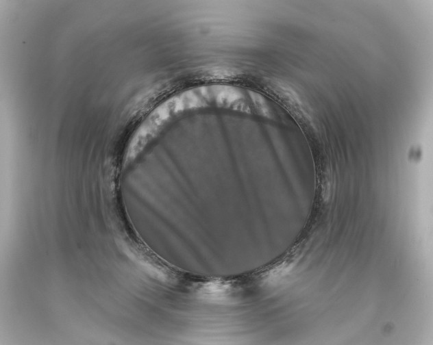 X0000093580366200710291106