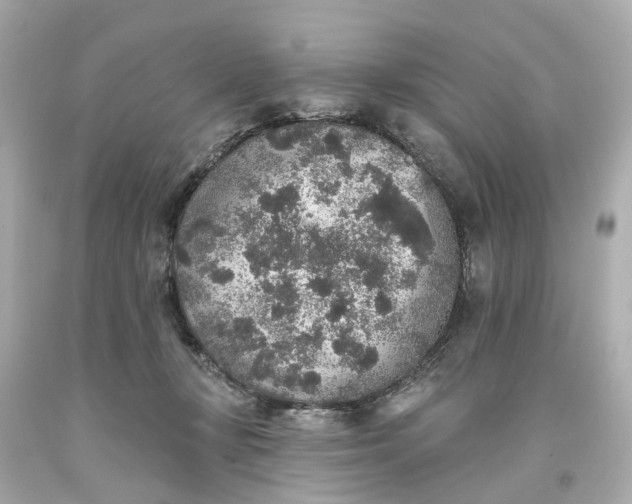 X0000093580367200710291106