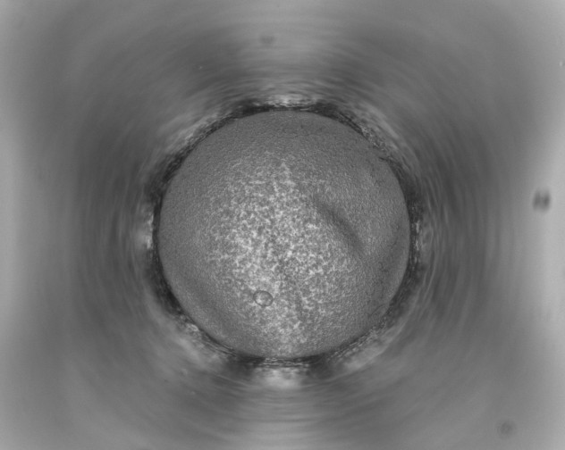 X0000093580368200710291106