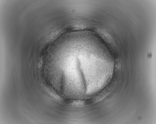 X0000093580369200710291106