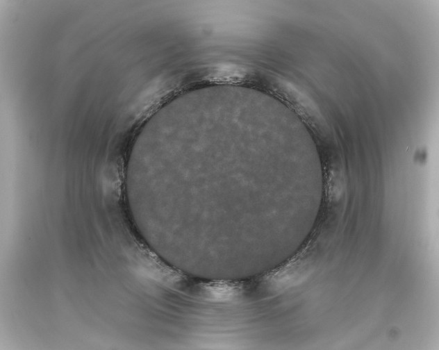 X0000093580370200710291106