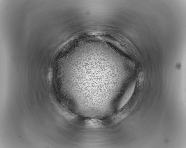 X0000093580372200710291106