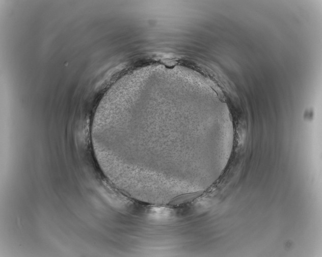 X0000093580376200710291106