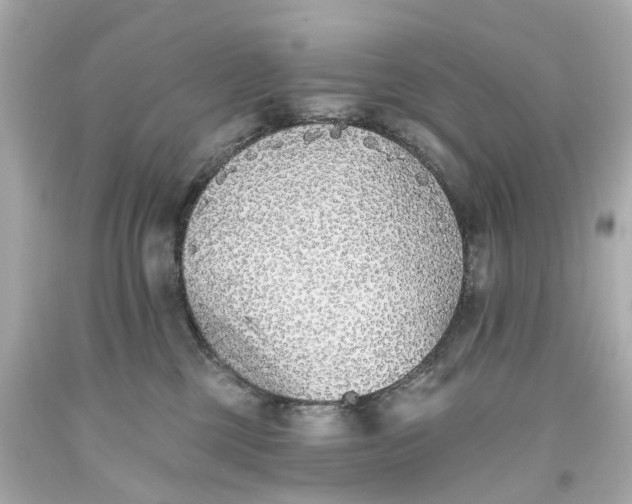 X0000093580377200710291106