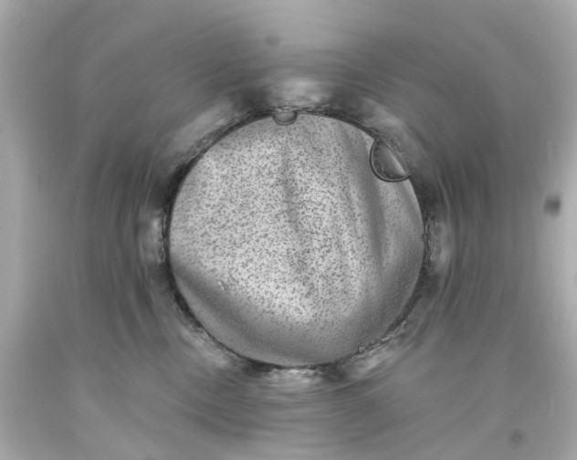 X0000093580378200710291106