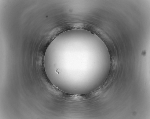 X0000093580379200710291106