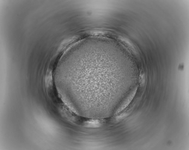 X0000093580381200710291106