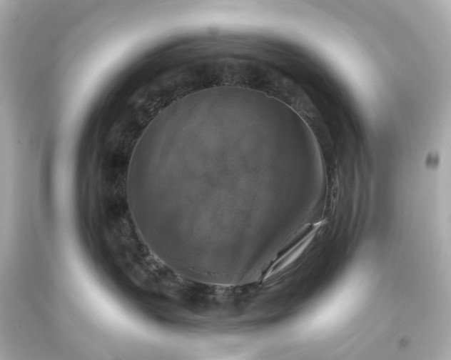 X0000093580383200710291106