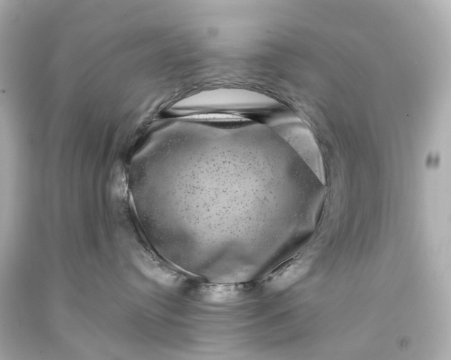 X0000093580384200710291106