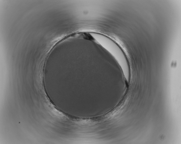 X0000093580385200710291106