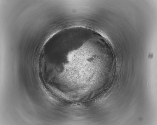 X0000093580386200710291106