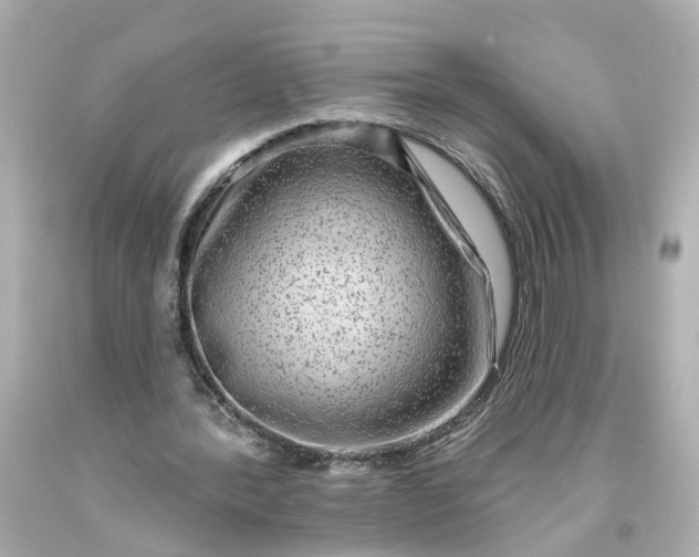 X0000093580388200710291106