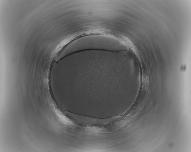 X0000093580389200710291106