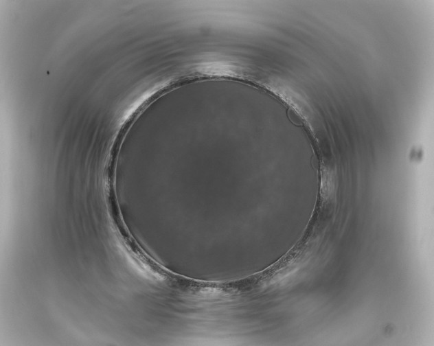 X0000093580390200710291106