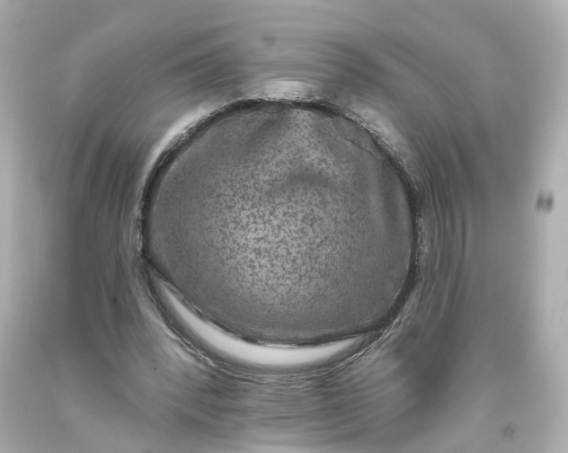 X0000093580392200710291106