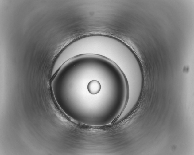 X0000093580393200710291106