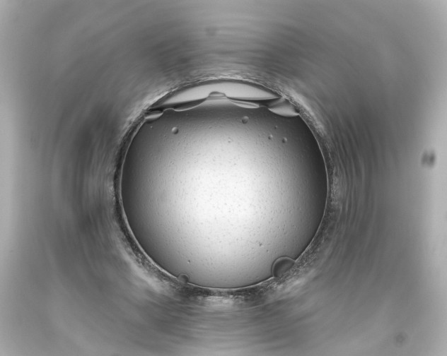 X0000093580394200710291106