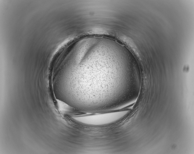 X0000093580395200710291106