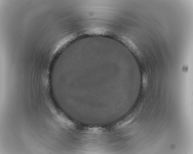 X0000093580396200710291106