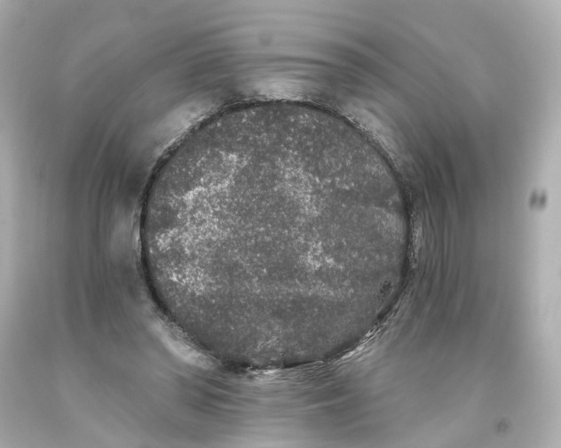 X0000093580398200710291106