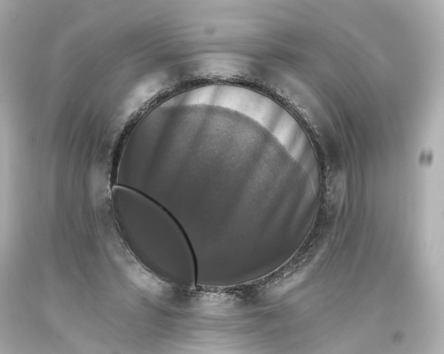 X0000093580399200710291106