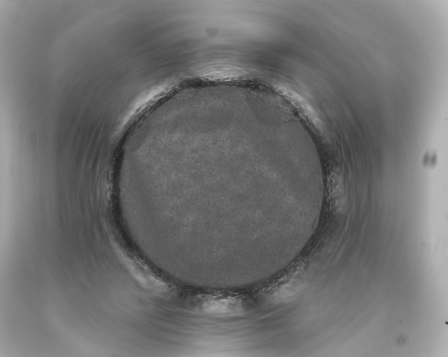 X0000093580400200710291105