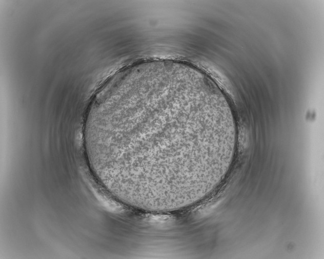 X0000093580401200710291105