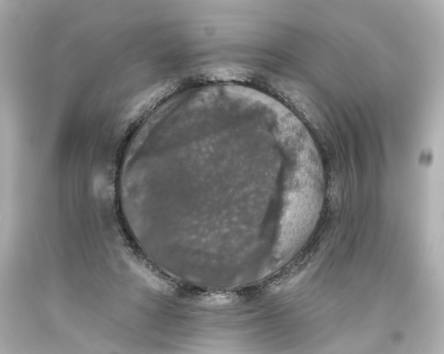 X0000093580402200710291105